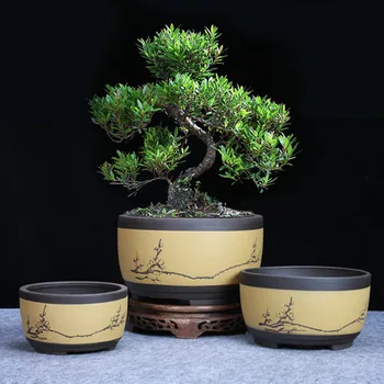 Bonsai Keramikos Vazonas Apvalios Didelės, Vidutinės Ir Mažos Bonsai Puodą Žaliųjų Augalų Puodą Būgno formos Kinų Stiliaus Vėdinimo Baseino