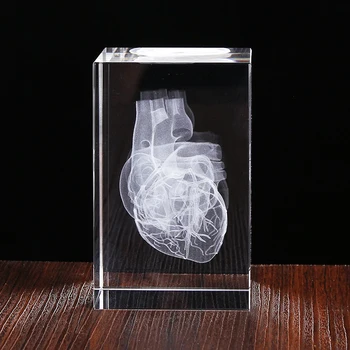 Aukštos Kokybės 3D Lazerinis Graviravimas Širdies Organų Crystal Cube Namų Stalo Apdailos Medicinos Mokslo Suvenyrų Dovanos
